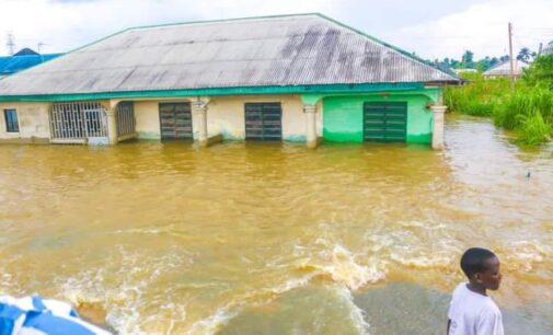 ‘Visit Niger Delta’ — Nabena tackles minister for claiming Jigawa is worst hit by flood