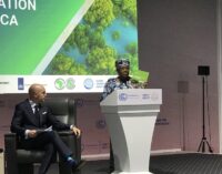 COP27: WTO launches report on trade as cornerstone for climate action