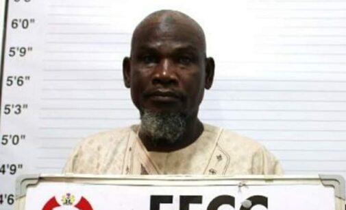 EFCC arraigns Yobe LG auditor-general over alleged N19.9m fraud