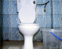 Myth vs fact: Does toilet infection exist?