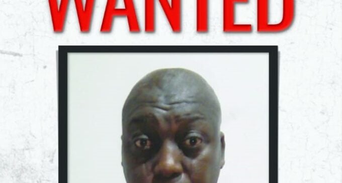 NDLEA declares Lagos socialite wanted for alleged drug trafficking