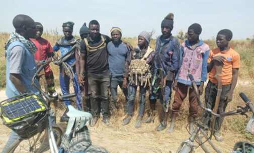 ’49 terrorists’ surrender to troops in Borno