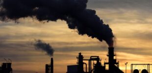 FG, NGO partner to reduce carbon, methane emissions by 2030