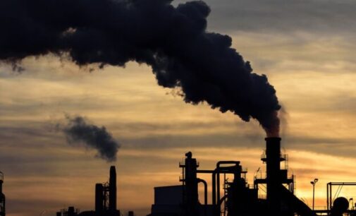 Climate Watch: Air pollution causes 6.7 to 7 million deaths annually, says CSO