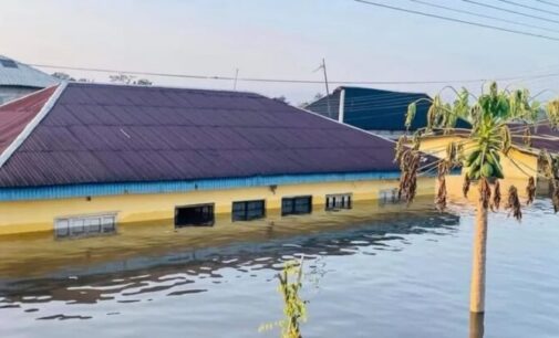Climate Watch: Nigerian communities cry for help as river submerges lands, houses