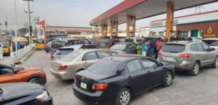 $10bn diaspora fund, petrol scarcity… top business stories to track this week