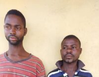 Police arrest brothers for ‘kidnapping woman, 9-year-old boy for rituals’ in Ogun