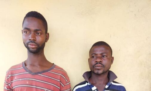 Police arrest brothers for ‘kidnapping woman, 9-year-old boy for rituals’ in Ogun