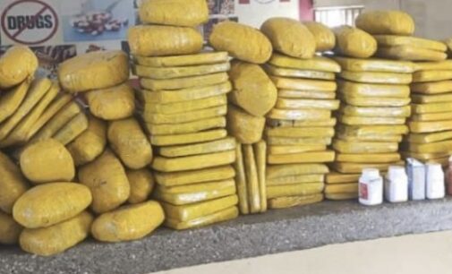 NDLEA intercepts 61kg of cannabis concealed in vehicles at Lagos seaport