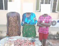Police raid hideout of ‘arms syndicate’ in Delta, arrest three