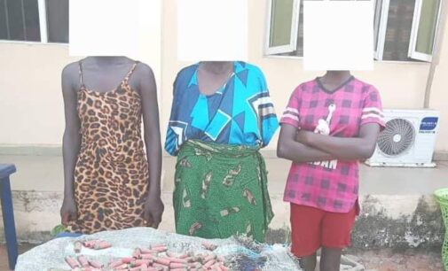 Police raid hideout of ‘arms syndicate’ in Delta, arrest three