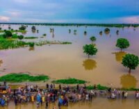 Mitigating impact of flooding through climate change education