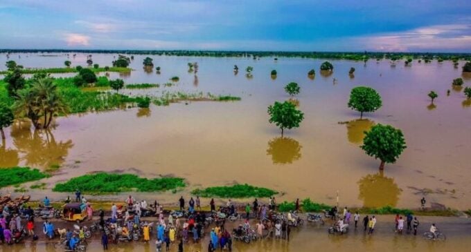 Loss and damage fund, over 600 flood deaths…. top climate stories of 2022