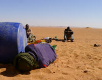 ‘We were stuck in Sahara Desert, many died from snakebites’ — FG evacuates stranded Nigerians