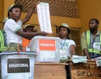 TheCable’s five tips to avoid election misinformation