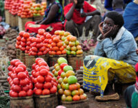 Domino effect of petrol subsidy removal on food, income insecurity