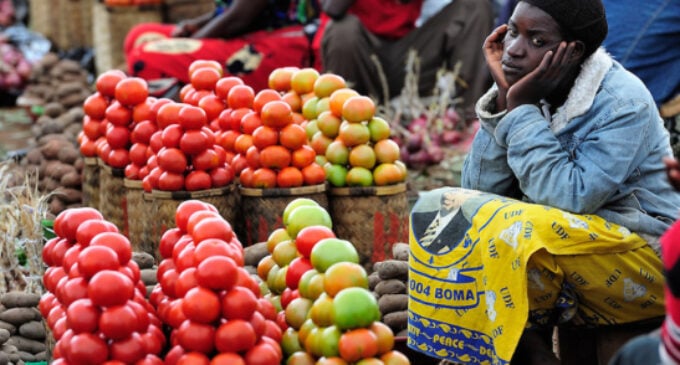 FAO: Global food prices declined for 12th consecutive month in March