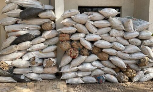 NDLEA intercepts 11kg of cannabis concealed in giant wooden structure in Lagos