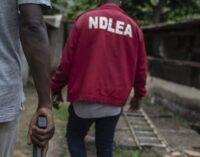 NDLEA seizes 13.6 tonnes of illicit drugs, arrests 1,000 suspects in Kaduna