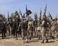 ISWAP fighters surrender in Niger Republic after ‘fleeing from Boko Haram attacks’