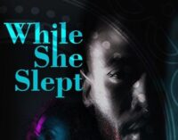 BOOK REVIEW: ‘While She Slept’