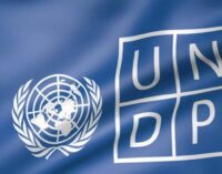 UNDP to support Nigeria’s environment roadmap