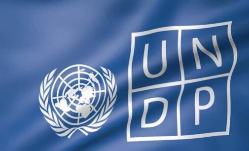 APPLY: UNDP Nigeria to hire firm to identify SMEs seeking commercial capital