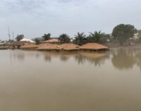 Flood: NEMA alerts four LGAs as River Niger water level rises