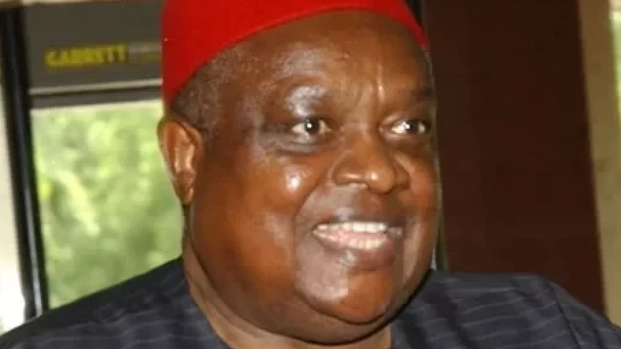 Ohanaeze: Iwuanyanwu didn't refer to Yoruba as political rascals | TheCable