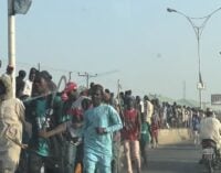 VIDEO: Brandishing sticks and machetes, youths march through Kano streets to welcome Kwankwaso
