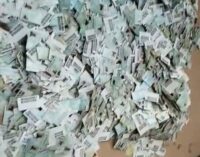 Hunter ‘discovers thousands of PVCs’ in Anambra forest