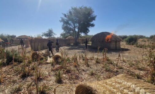 NAF airstrike destroys terrorists’ hideout in Borno