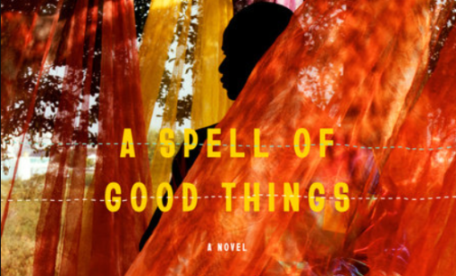 Ayobami Adebayo’s ‘A Spell of Good Things’ is our lives told in prose