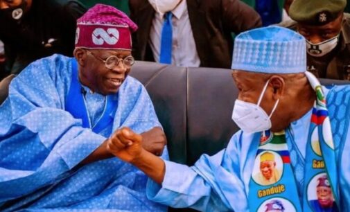 Northern group asks Tinubu to exclude Ganduje, Matawalle, Bagudu from his cabinet