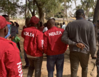 NDLEA busts Adamawa factory ‘supplying illicit drug to Cameroon, Niger’