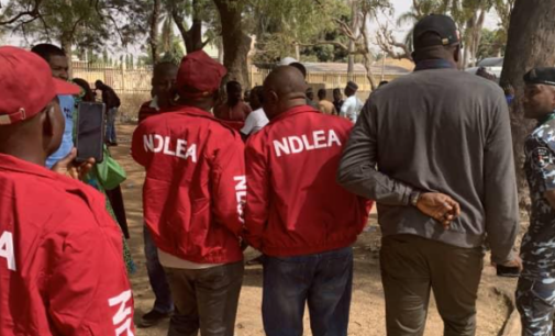 NDLEA arrests 218 suspects with 5,610kg of illicit drugs in Kaduna in three months