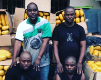 Six drug traffickers bag lengthy jail terms in Lagos, Ogun