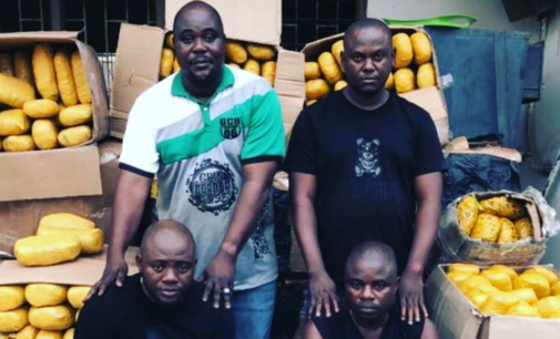 Six drug traffickers bag lengthy jail terms in Lagos, Ogun