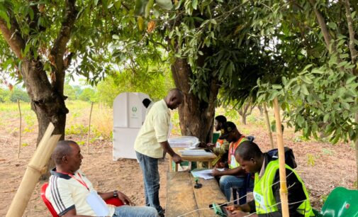 Enugu, Rivers, Nasarawa — how voter apathy marred state polls
