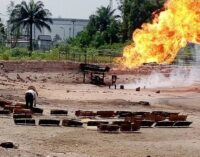 ‘Agro-forestry, end gas flaring’ — NGO proposes measures for Nigeria’s net zero target