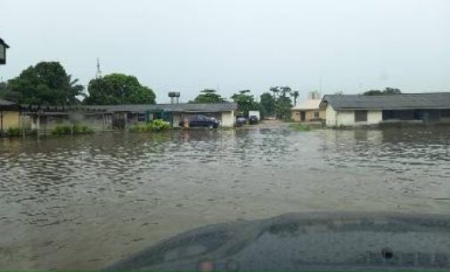 Joseph Utsev: Flooding not an immediate threat to lives and property in Nigeria
