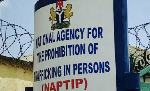 NAPTIP arrests two men in Abuja over ‘trafficking girls to India for prostitution’