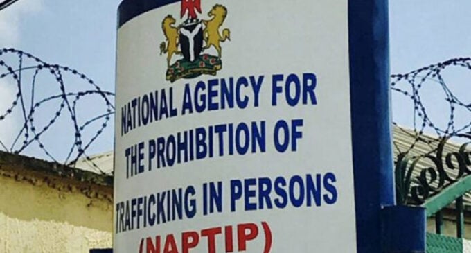 NAPTIP arrests members of ‘notorious’ sextortion syndicate in Abuja