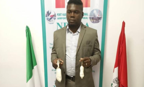 NDLEA arrests Surinamese man with ‘9.9kg cocaine concealed in condoms’