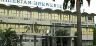 Nigerian Breweries: High inflation rate, FX volatility caused N106bn loss in 2023