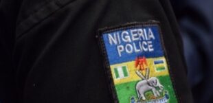 Ondo guber: Police arrest two for ‘illegal registration’ of APC members
