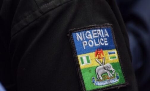 Suspected criminal on wanted list surrenders to police in Kano