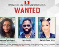 NDLEA declares prophetess, couple wanted after seizing cannabis in Lagos