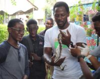 Earth champion: Chinedu Mogbo, the conservation enthusiast who ‘enjoys company of animals more than humans’ 