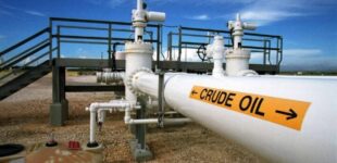 FG seeks UAE investment in oil, gas infrastructure, says pipelines have outlived lifespan